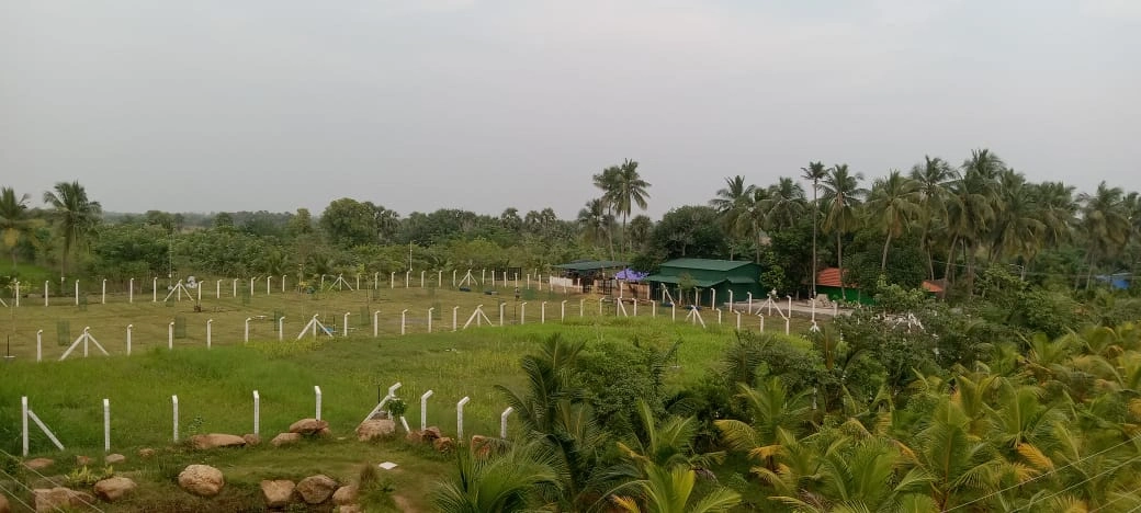 Land as living