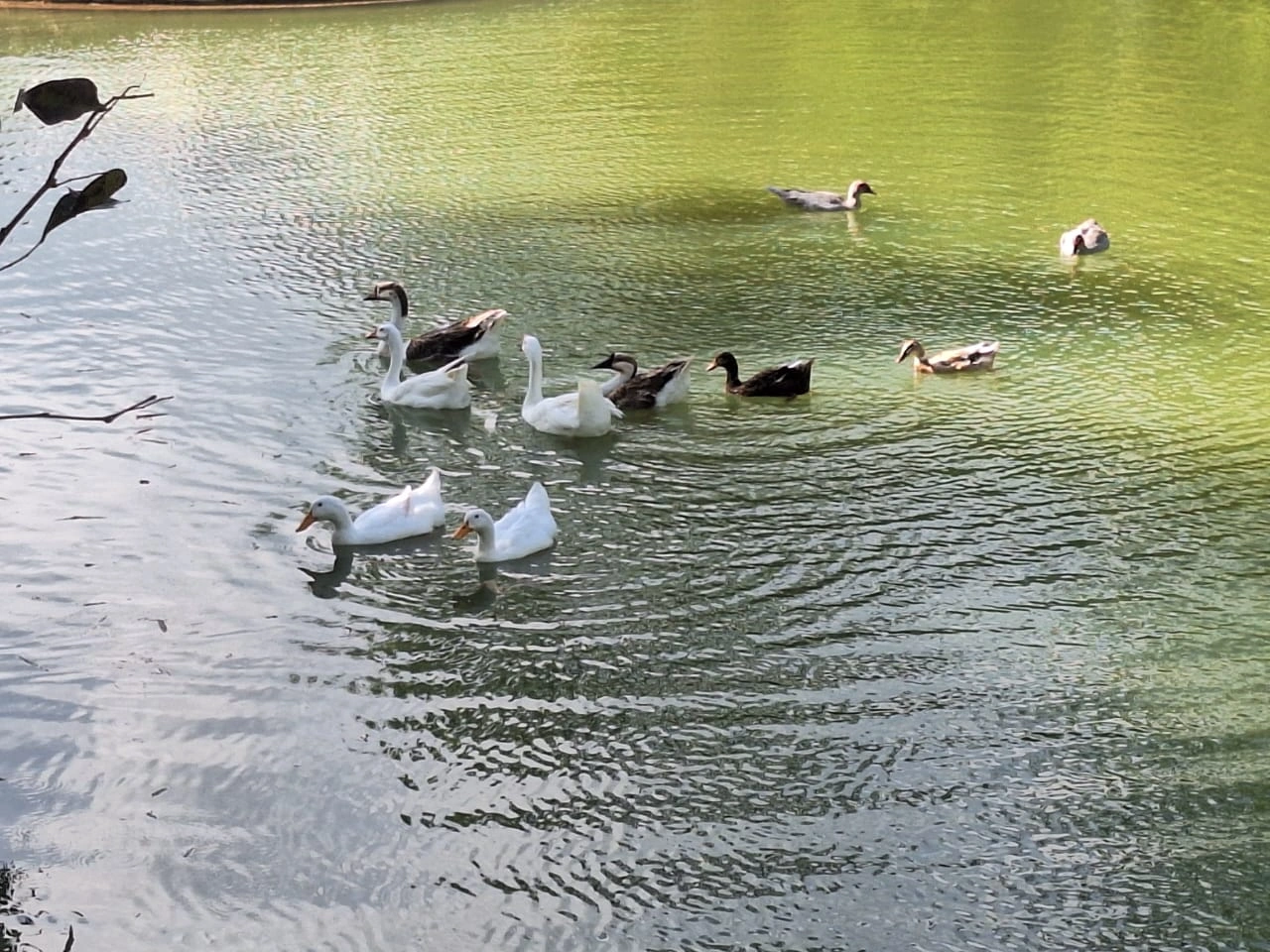 Water 2
