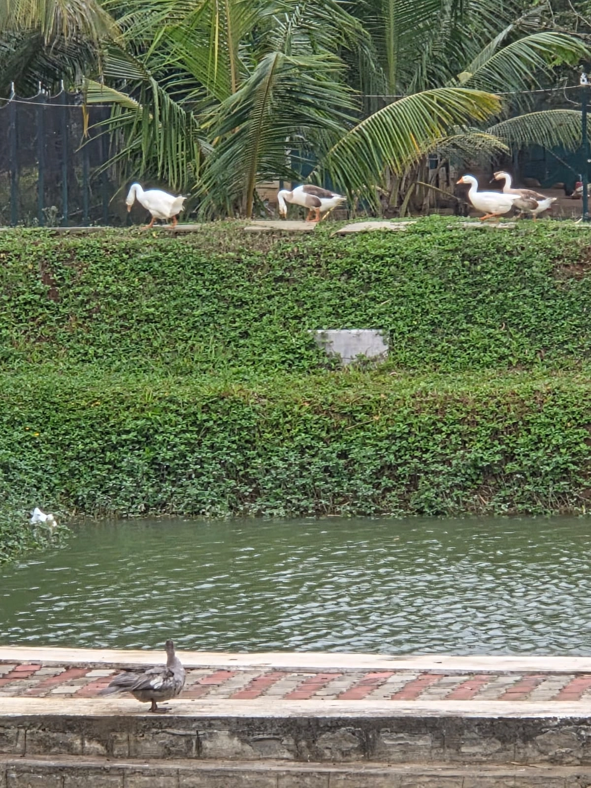 land as living 2